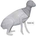 RAB14C